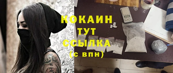 сатива Волоколамск