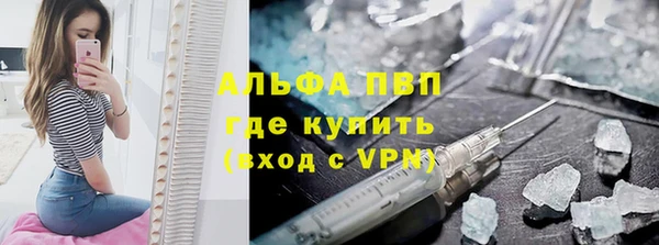 сатива Волоколамск