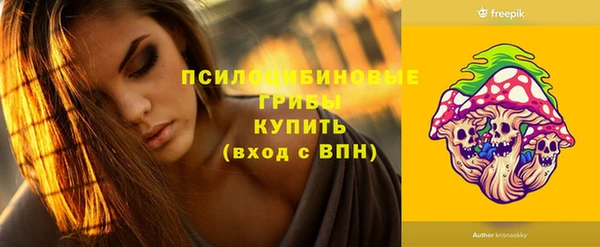 ECSTASY Пестово
