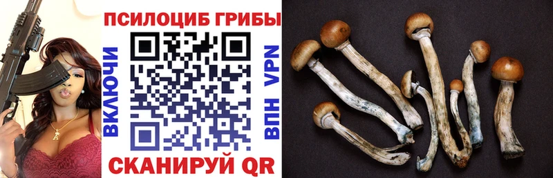 Галлюциногенные грибы прущие грибы  Воскресенск 